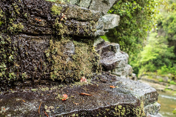mossy mountain rock