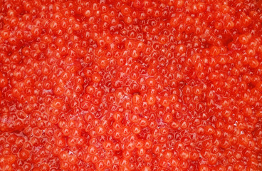 salmon red caviar gourmet food close up