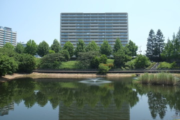 マンションと池