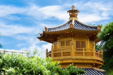 Fototapeta premium Chi Lin Nunnery and Nan Lian Garden. Golden pavilion of absolute perfection in Nan Lian Garden in Chi Lin Nunnery, Hong Kong, China
