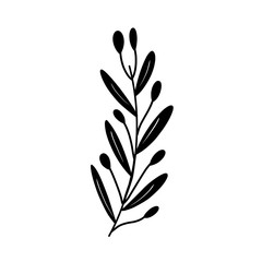 Flower set. Herbarium. Beautiful design element for invitations to the wedding, birthday. For postcard design. The black. Hand drawing. Frame.