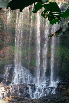 View on the Dambri waterfall in Bao Loc in Vietnam surrounded by palm leaves