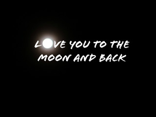 Love you to the moon and back quote