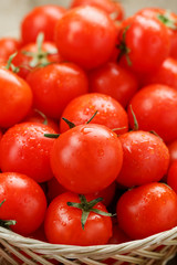 Small red tomatoes in a wicker basket on an old wooden table. Ripe and juicy cherry