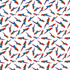 Parrot watercolor seamless pattern on white background