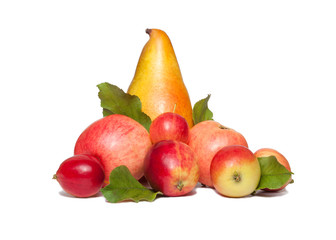 Group of large pear and apples of different sizes in the form of a pyramid. Yellow juicy pear with pink garden apples, red chinese apples and green leaves isolated on white