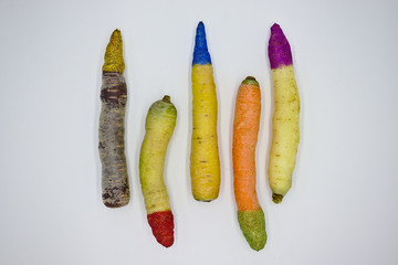 Kolorowa marchewka mix i brokat © Vanderbeck