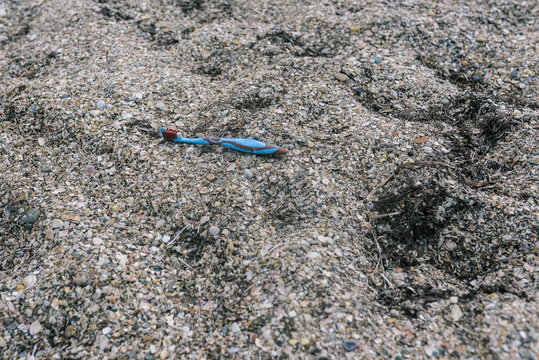 Environmental Pollution. Rubbish On The Beach. Abandoned Toothbrush