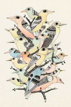 Bunch of birds