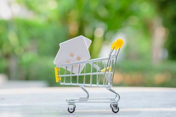 House model on shopping cart. Investment property concept.