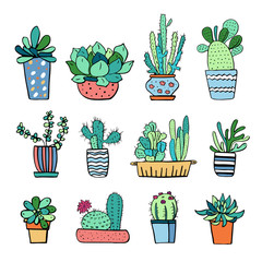 Cactus and succulent plants in flowerpots. Vector hand drawn outline color sketch illustration