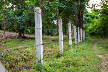 Barbed fence and concrete post  in the garden.