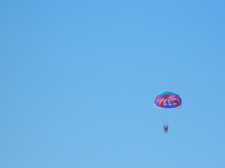 Skydiver