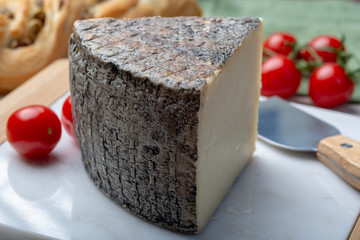 Italian cheese, piece of mature Tuscan Pecorino sheep cheese served with olive bread and tomatoes