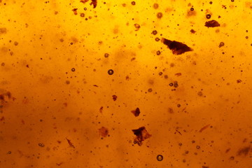 Honey.Honey background