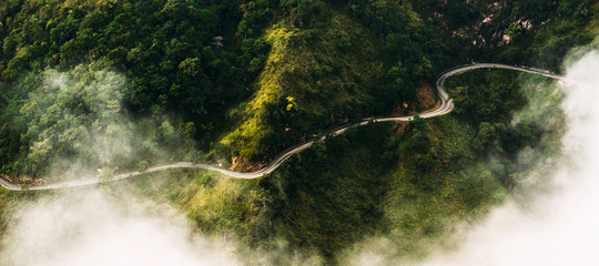 Panorama of nature. The road among tea plantations. The road from the quadcopter. Winding road in...