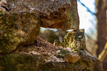 Ruins near the castle in Pieskowa Skala, Poland