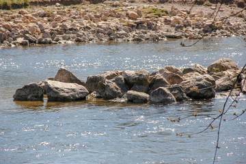 Flesen in der Isar