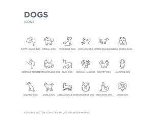 simple set of dogs vector line icons. contains such icons as jindo dog, keeshond dog, komondor dog, labradoodle vizsla maltese maltipoo mastiff mexican hairless and more. editable pixel perfect.
