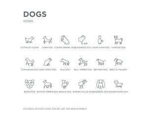 simple set of dogs vector line icons. contains such icons as bloodhound dog, boerboel dog, border collie dog, borzoi boston terrier boxer bracco italiano brittany bull terrier and more. editable