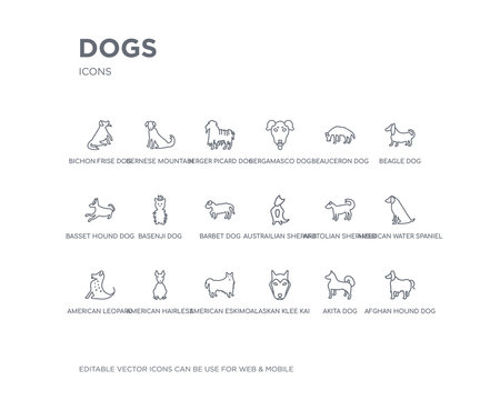 simple set of dogs vector line icons. contains such icons as afghan hound dog, akita dog, alaskan klee kai dog, american eskimo american hairless terrier american leopard hound water spaniel