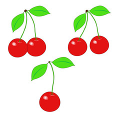 Cherry set. Sweet fruit - Illustration.