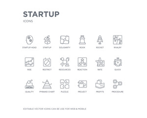 Fototapeta na wymiar simple set of startup vector line icons. contains such icons as procedure, profits, project, puzzle, pyramid chart, quality, quick, rate, reaction and more. editable pixel perfect.