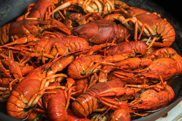 boiled crayfish on an iron plate.