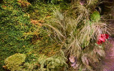 Decorative green background