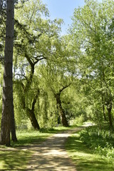 Chemin en zigzag sous la végétation luxuriante du domaine de Rivierenhof à Anvers