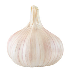 Garlic one whole isolated on white background with clipping path.