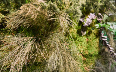 Decorative green background