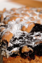 Freshly baked sweet powder cake closeup. Shallow depth of field