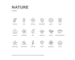 simple set of nature vector line icons. contains such icons as lotus, magnolia, maple, mimosa, mountains, narcissus, natural medical pills, neroli, nymphea and more. editable pixel perfect.