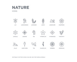 simple set of nature vector line icons. contains such icons as geranium, gerbera, gladiolus, tea, hawthorn, hills, hyacinth, hydrangea, hypericum and more. editable pixel perfect.