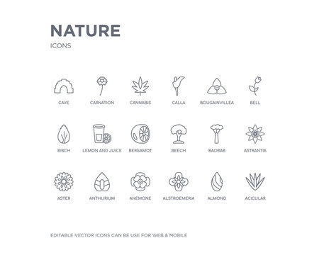 Acicular Bilder Durchsuchen 760 Archivfotos, und