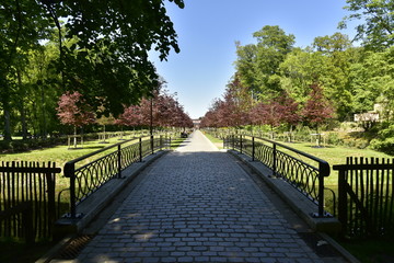 Route pavée sur une passerelle rustique a l'ombre vers l'allée majestueuse du domaine de Rivierenof à Anvers