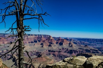 GRAND CANYON