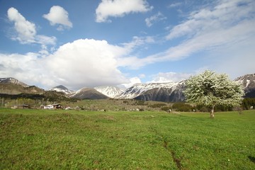 Fototapeta premium green village views. savsat/artvin/turkey