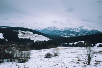 Naklejka premium Zakopane winter mountains and forest