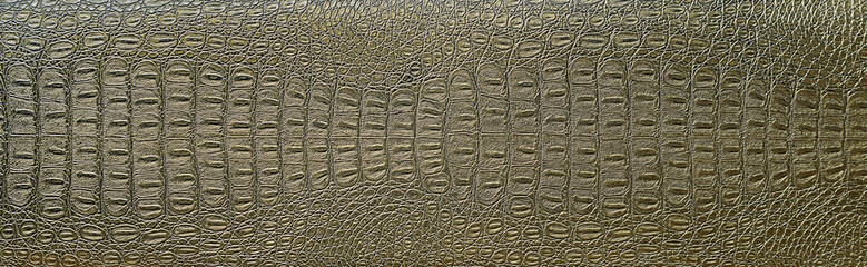 crocodile skin