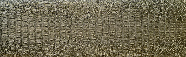 Fototapete Krokodil Krokodilhaut  © andrei_77