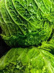 Fototapeta premium Cabbage