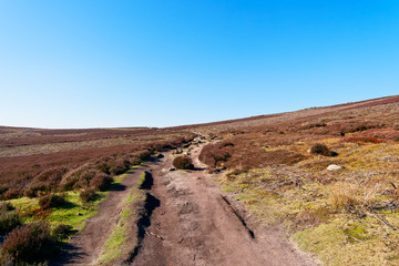 Fototapeta na wymiar Narrow rock strewn footpath winds up hill on Derwent Moor
