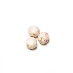 one-clove garlic isolated on white background