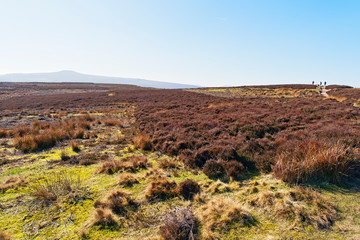Looking scross Derwent Moor in the Derbyshire Peak District