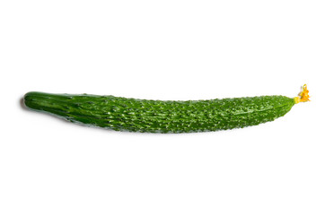 fresh cucumber isolated on white background
