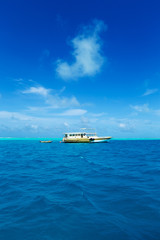  Maldives island with white sandy beach and sea