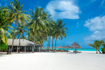  Maldives island with white sandy beach and sea