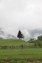 green village views. savsat/artvin/turkey